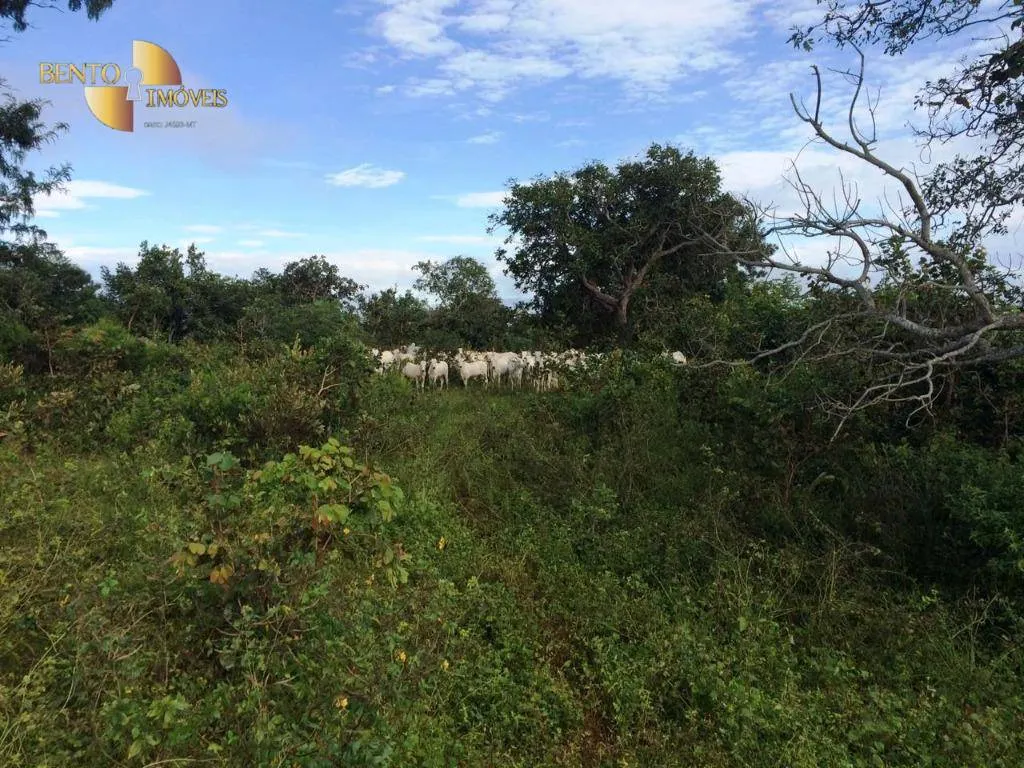 Farm for sale of 1,735 acres in Cuiabá, MT, Brazil