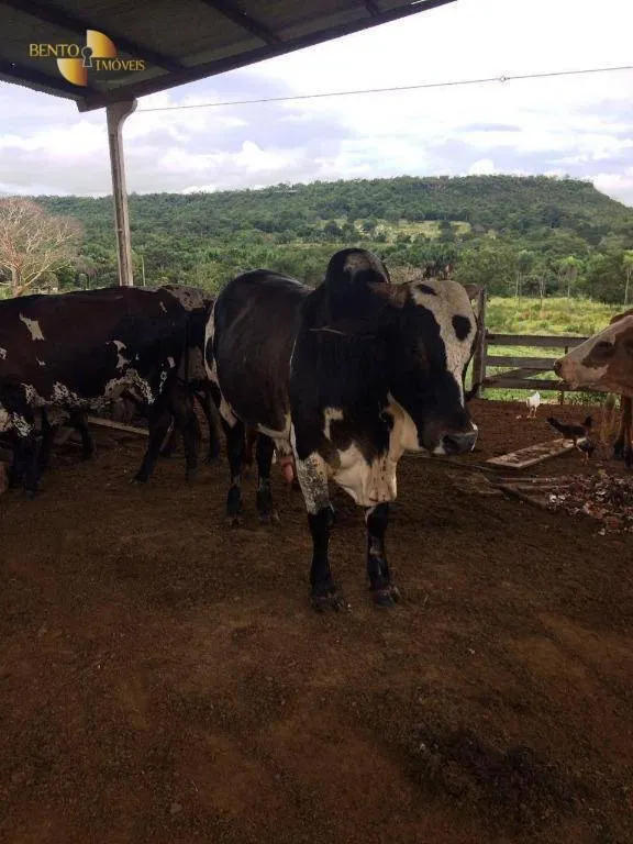 Farm for sale of 1,735 acres in Cuiabá, MT, Brazil