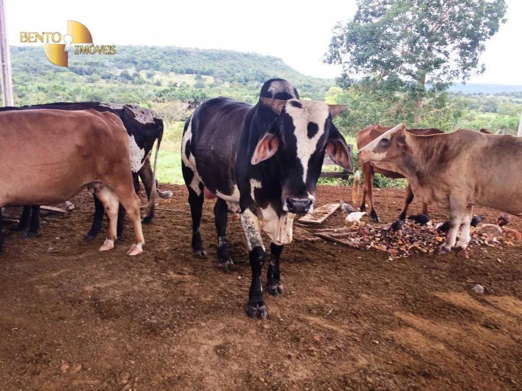 Farm for sale of 1,735 acres in Cuiabá, MT, Brazil