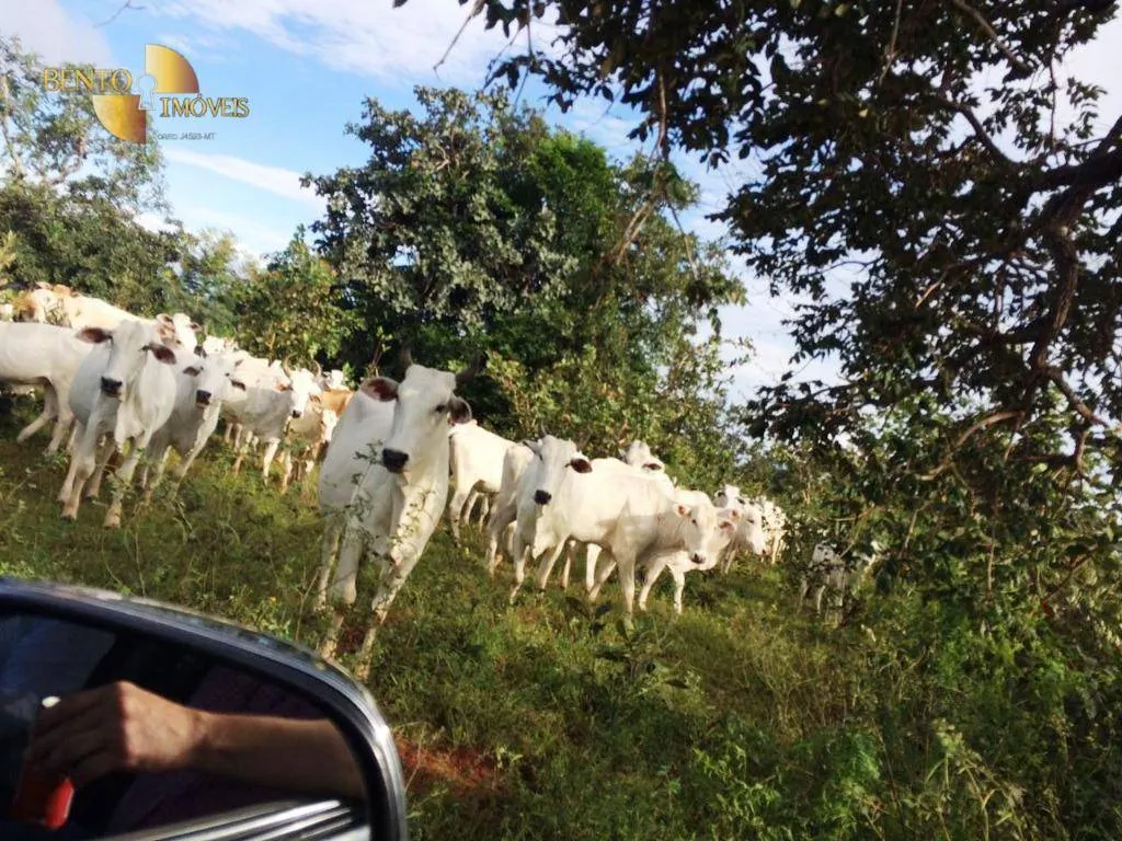 Farm for sale of 1,735 acres in Cuiabá, MT, Brazil