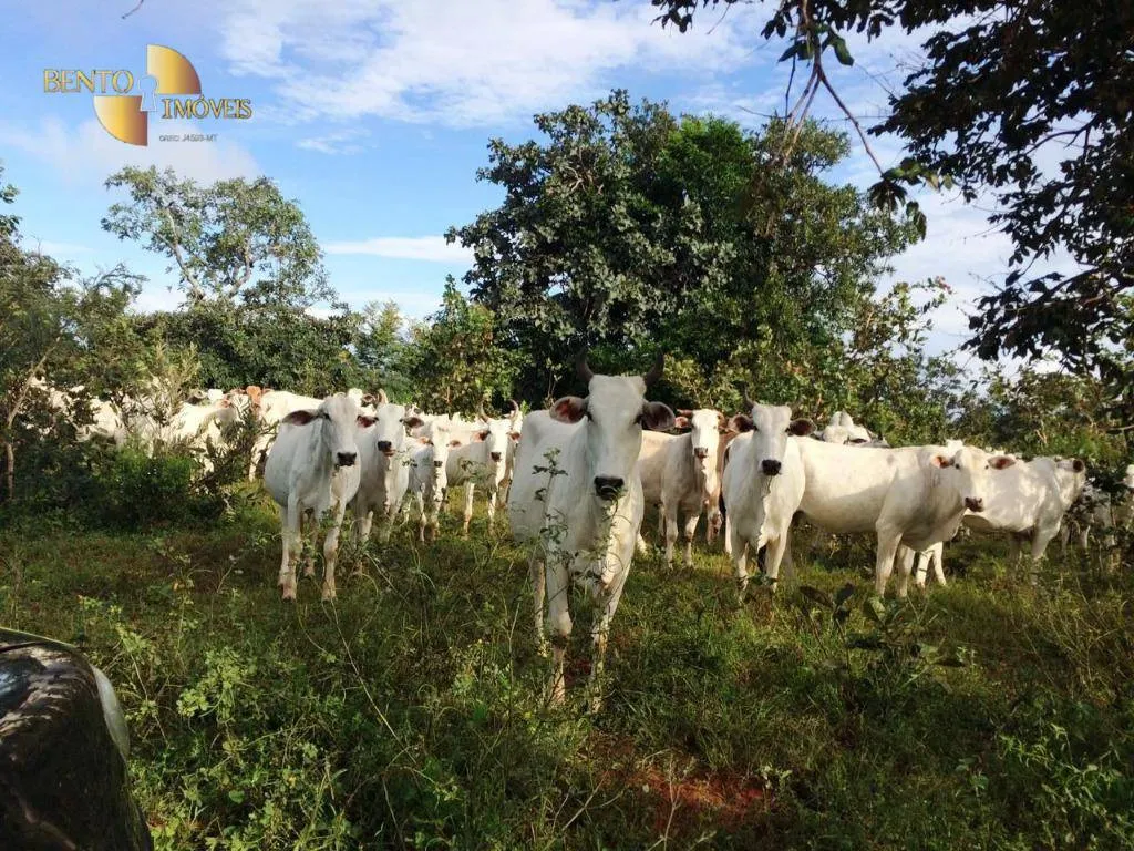 Fazenda à venda de 702 ha em Cuiabá, MT, Brasil