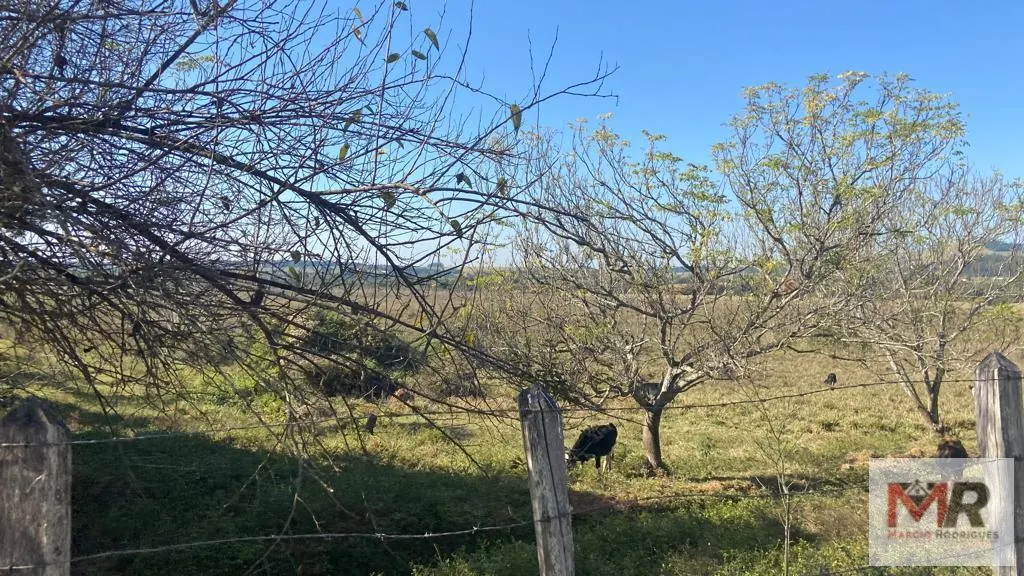 Sítio à venda de 48 ha em Pouso Alegre, MG, Brasil