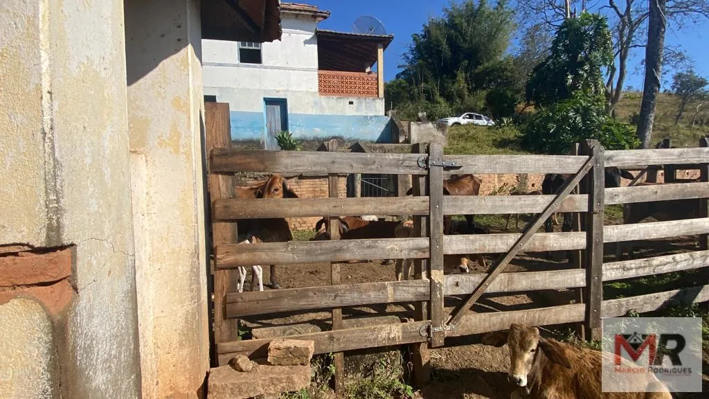 Sítio à venda de 48 ha em Pouso Alegre, MG, Brasil