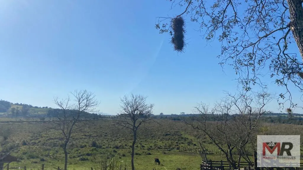 Sítio à venda de 48 ha em Pouso Alegre, MG, Brasil