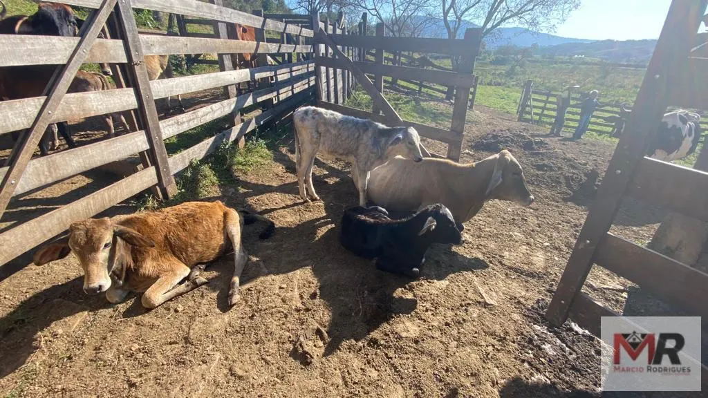 Sítio à venda de 48 ha em Pouso Alegre, MG, Brasil