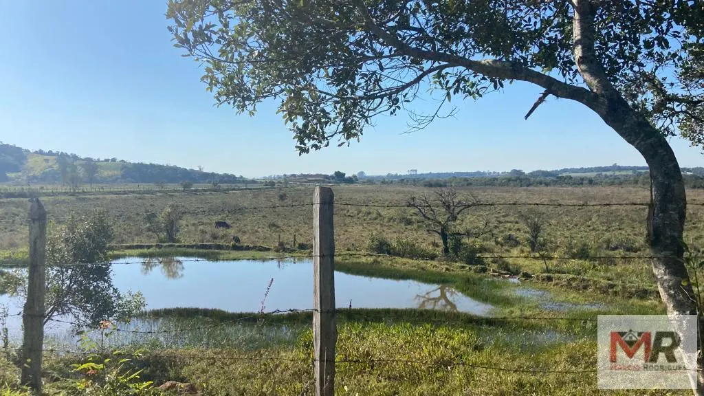 Sítio à venda de 48 ha em Pouso Alegre, MG, Brasil