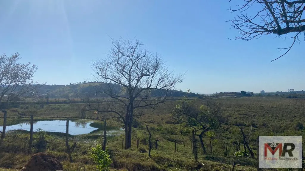 Sítio à venda de 48 ha em Pouso Alegre, MG, Brasil