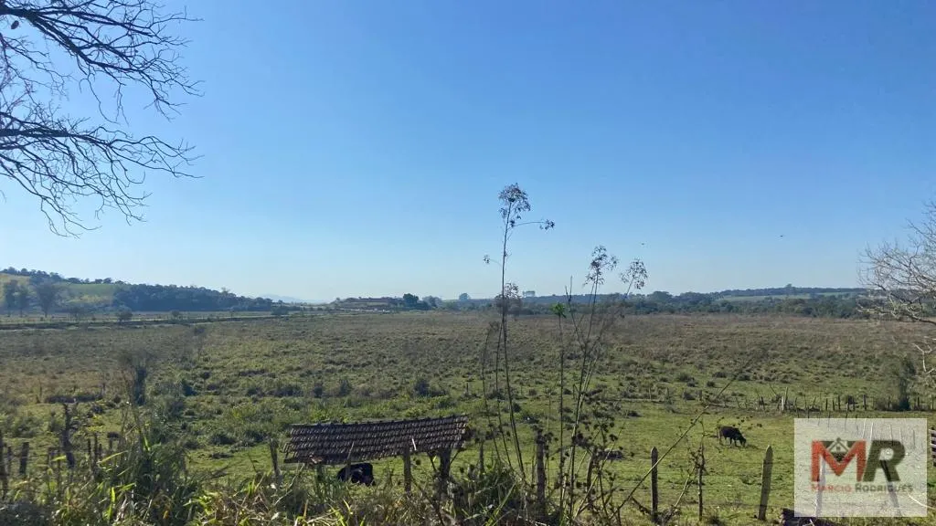 Sítio à venda de 48 ha em Pouso Alegre, MG, Brasil