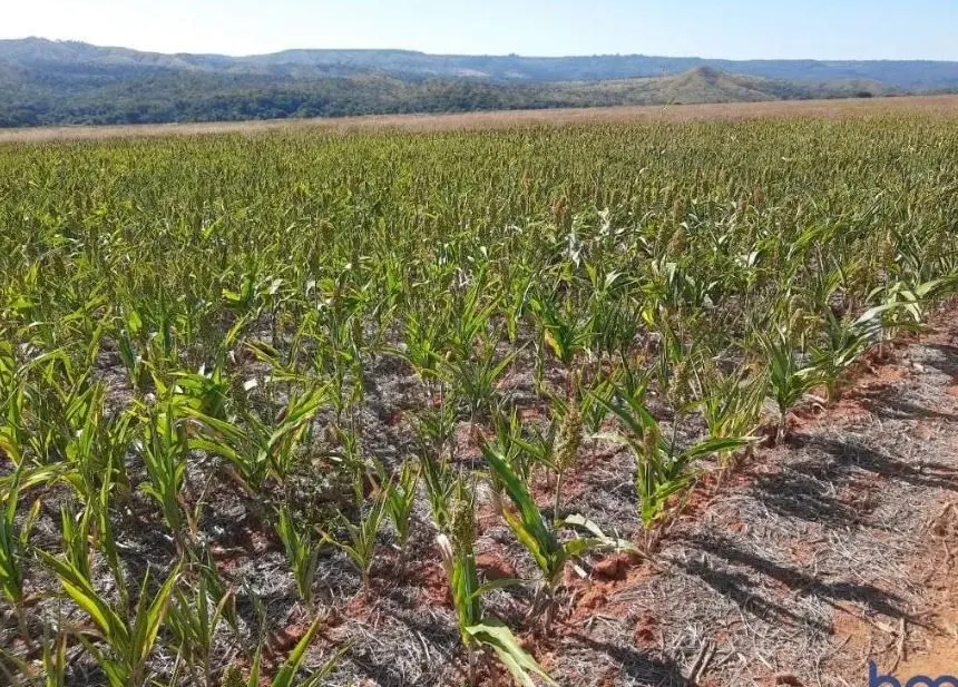 Farm for sale of 642 acres in Coromandel, MG, Brazil