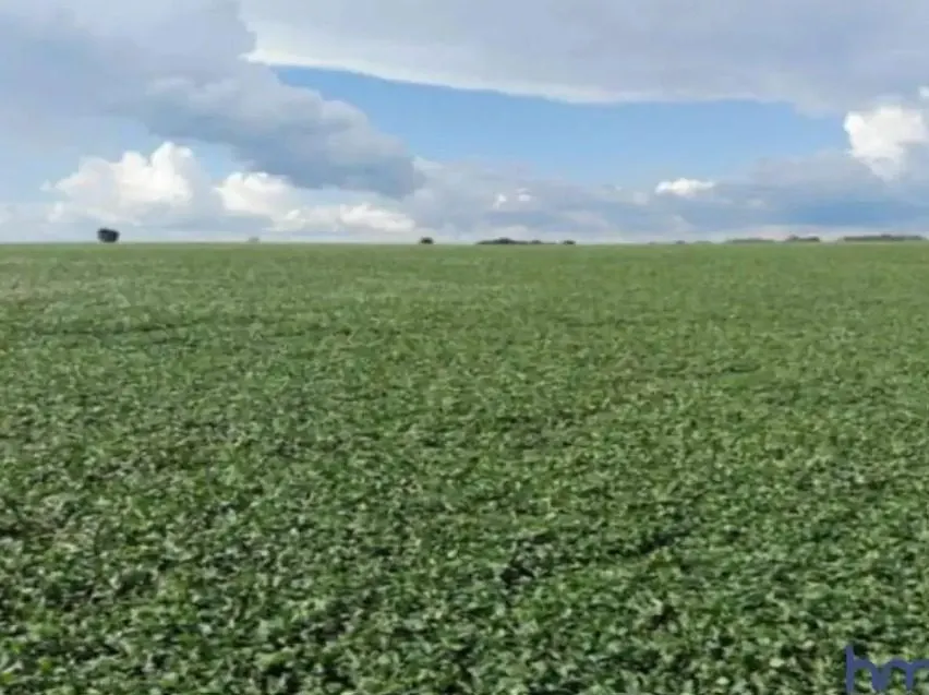 Farm for sale of 642 acres in Coromandel, MG, Brazil
