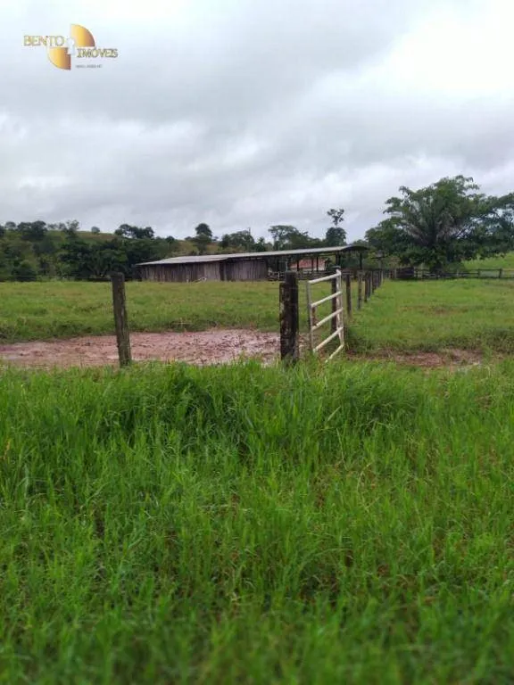 Fazenda à venda de 2.395 ha em Chupinguaia, RO, Brasil
