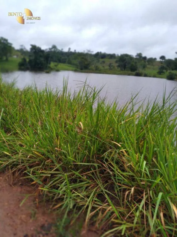 Fazenda à venda de 2.395 ha em Chupinguaia, RO, Brasil