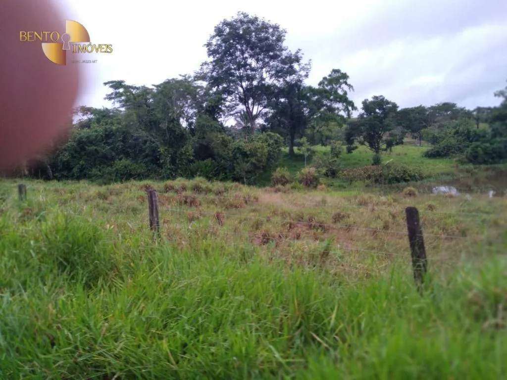 Fazenda à venda de 2.395 ha em Chupinguaia, RO, Brasil