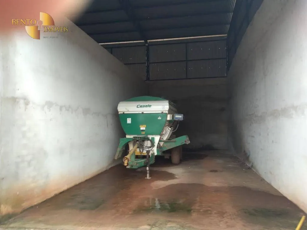 Fazenda à venda de 2.395 ha em Chupinguaia, RO, Brasil