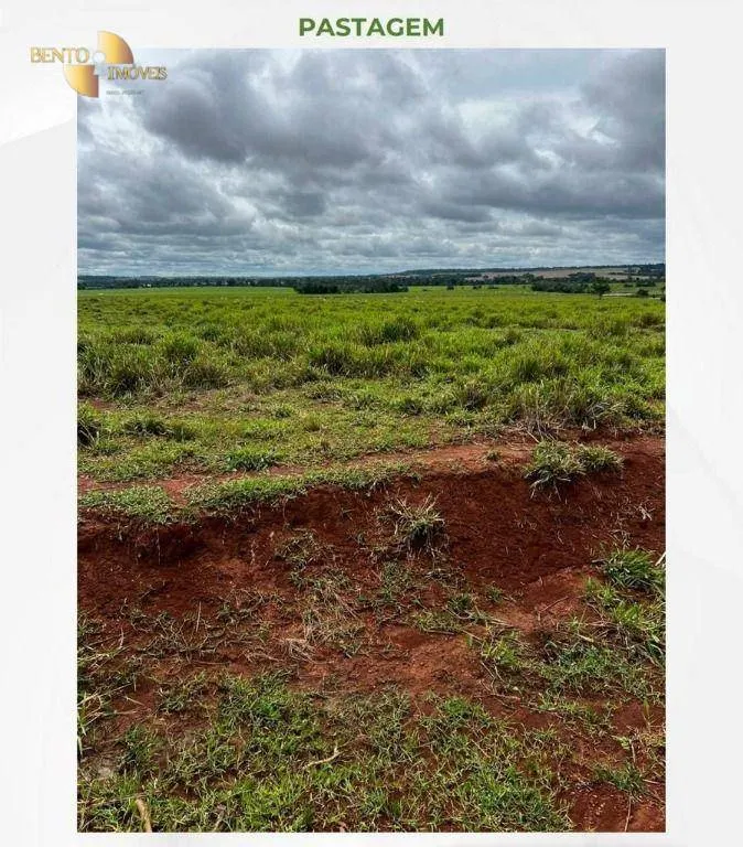 Fazenda à venda de 2.395 ha em Chupinguaia, RO, Brasil