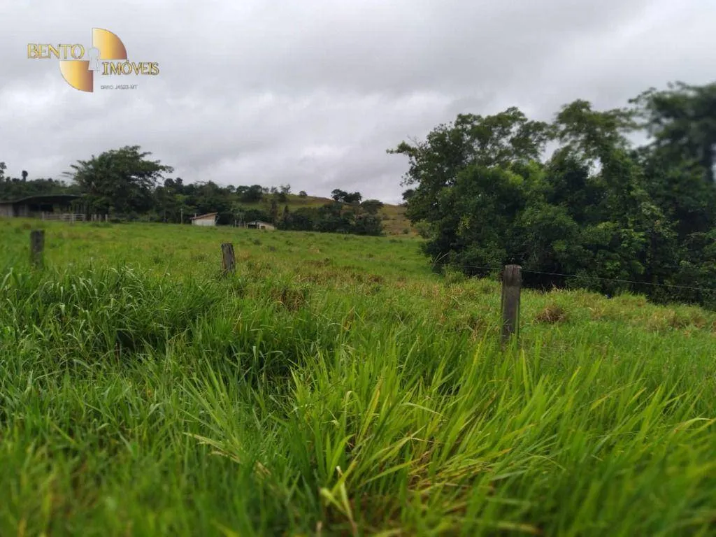 Fazenda à venda de 2.395 ha em Chupinguaia, RO, Brasil