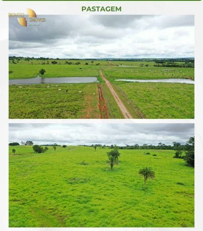 Fazenda à venda de 2.395 ha em Chupinguaia, RO, Brasil