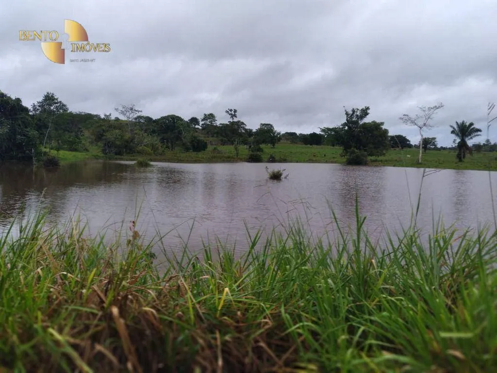 Fazenda à venda de 2.395 ha em Chupinguaia, RO, Brasil