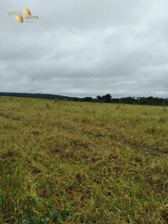 Fazenda à venda de 2.395 ha em Chupinguaia, RO, Brasil