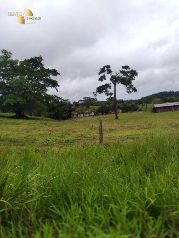 Fazenda à venda de 2.395 ha em Chupinguaia, RO, Brasil