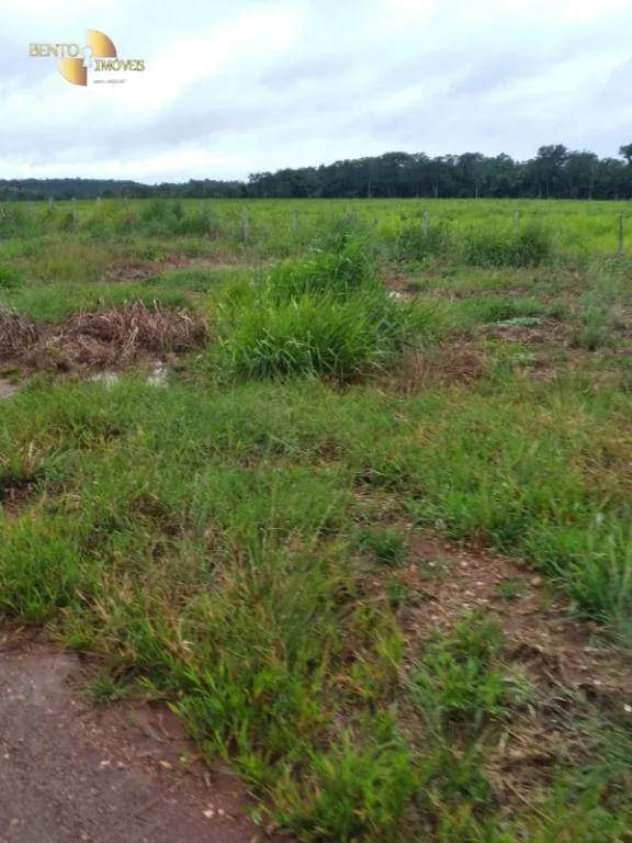 Fazenda à venda de 2.395 ha em Chupinguaia, RO, Brasil