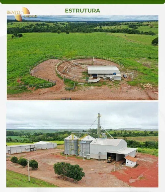 Fazenda à venda de 2.395 ha em Chupinguaia, RO, Brasil