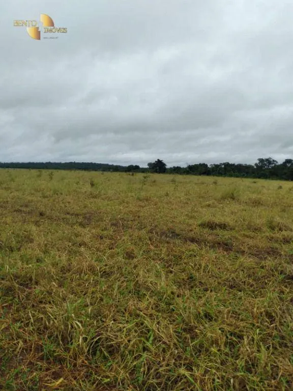 Fazenda à venda de 2.395 ha em Chupinguaia, RO, Brasil