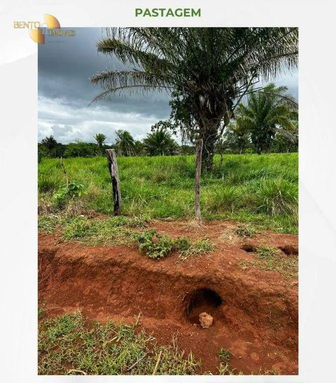 Fazenda à venda de 2.395 ha em Chupinguaia, RO, Brasil