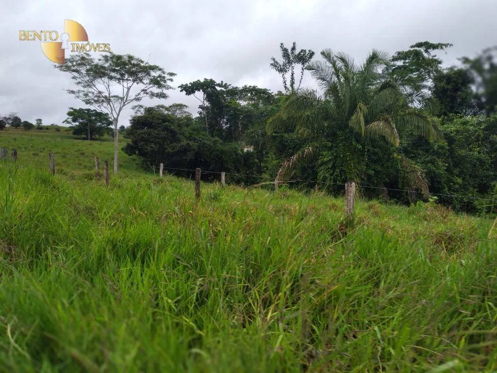 Fazenda à venda de 2.395 ha em Chupinguaia, RO, Brasil