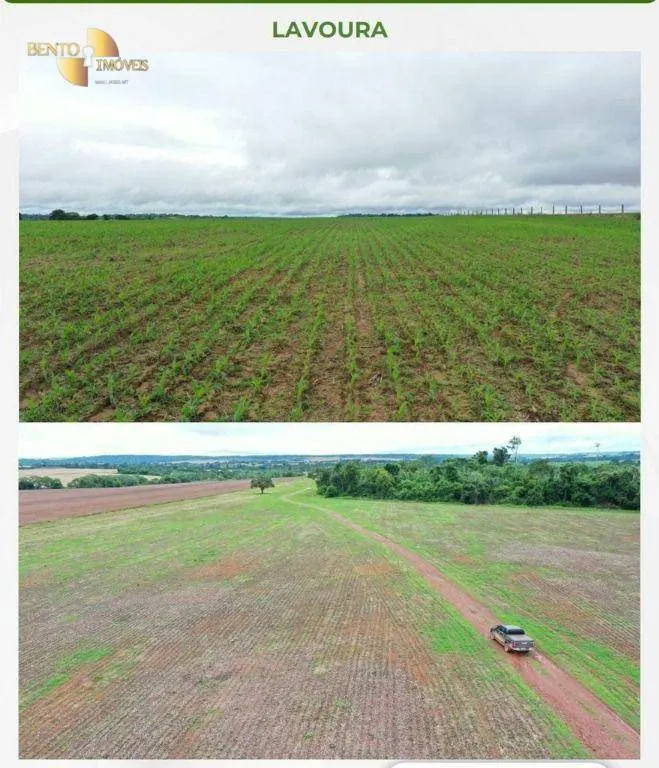 Fazenda à venda de 2.395 ha em Chupinguaia, RO, Brasil