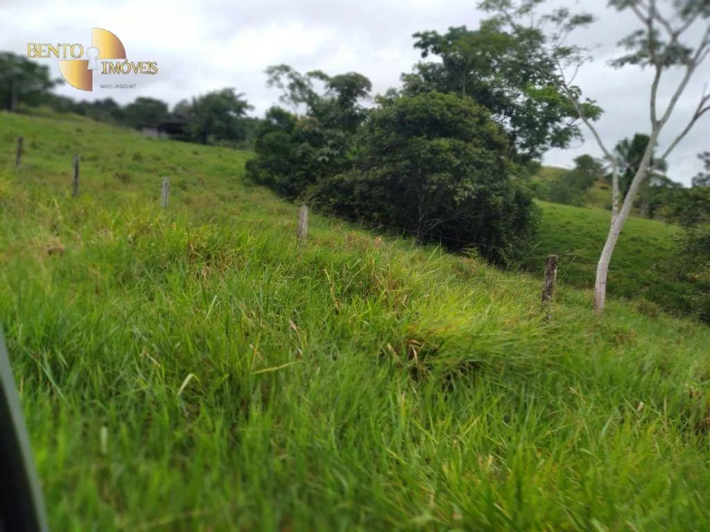 Fazenda à venda de 2.395 ha em Chupinguaia, RO, Brasil