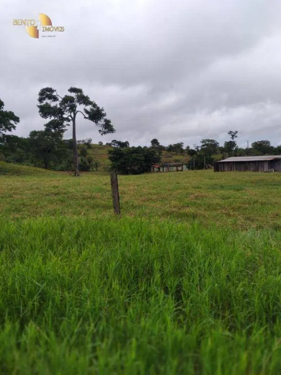 Fazenda à venda de 2.395 ha em Chupinguaia, RO, Brasil