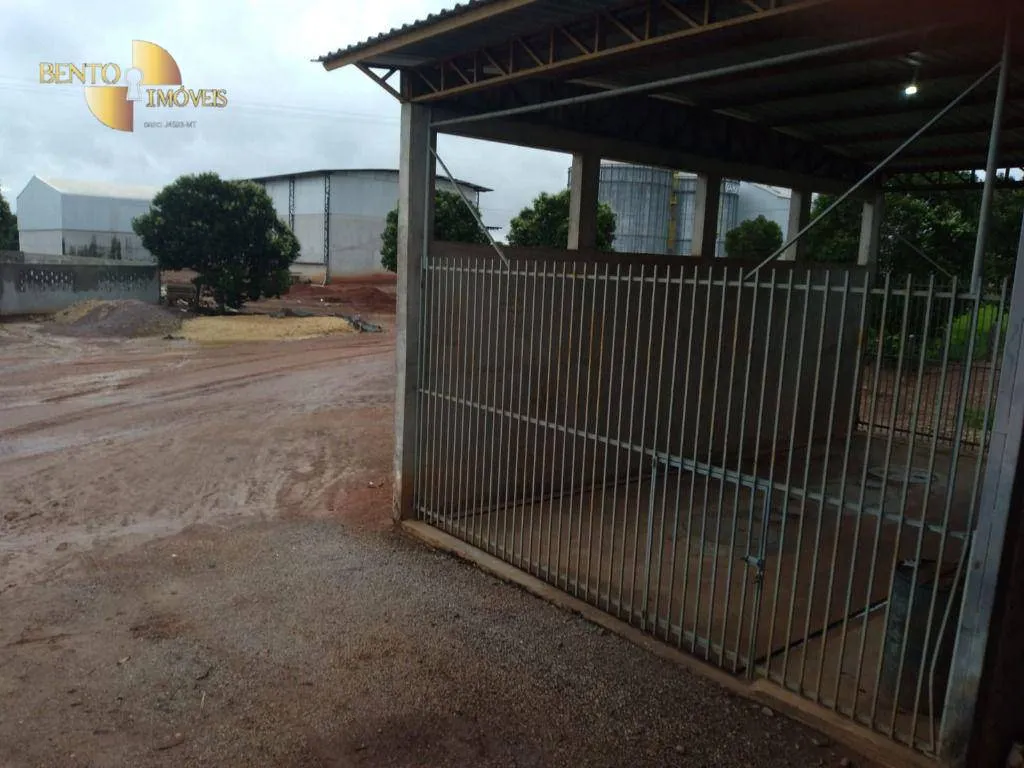 Fazenda à venda de 2.395 ha em Chupinguaia, RO, Brasil