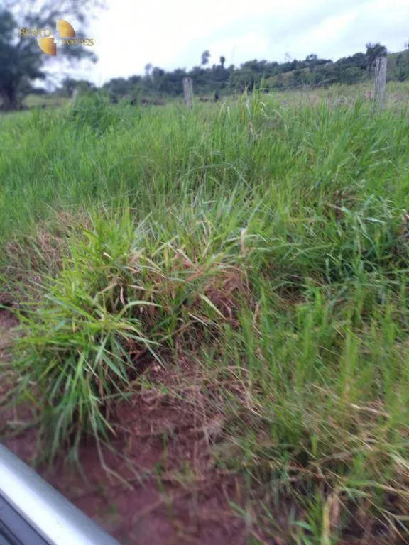 Fazenda à venda de 2.395 ha em Chupinguaia, RO, Brasil