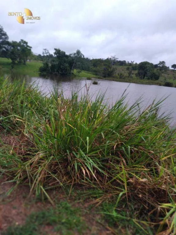 Fazenda à venda de 2.395 ha em Chupinguaia, RO, Brasil