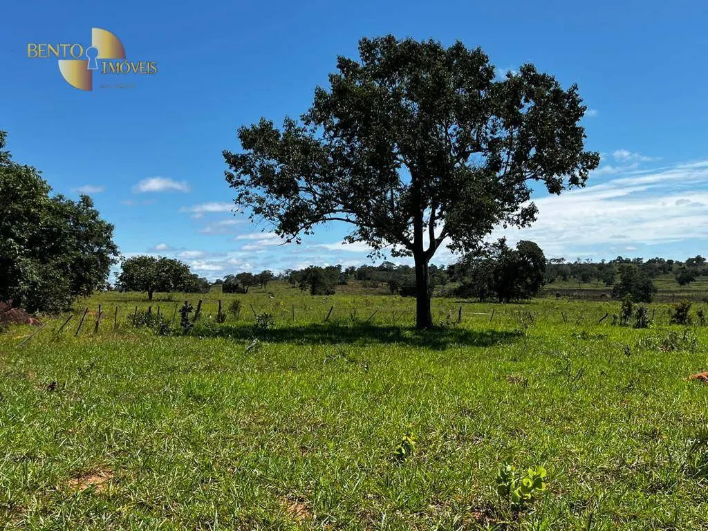 Fazenda à venda de 1.266 ha em Pontal do Araguaia, MT, Brasil