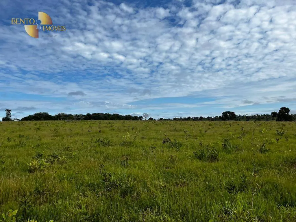 Fazenda à venda de 1.266 ha em Pontal do Araguaia, MT, Brasil