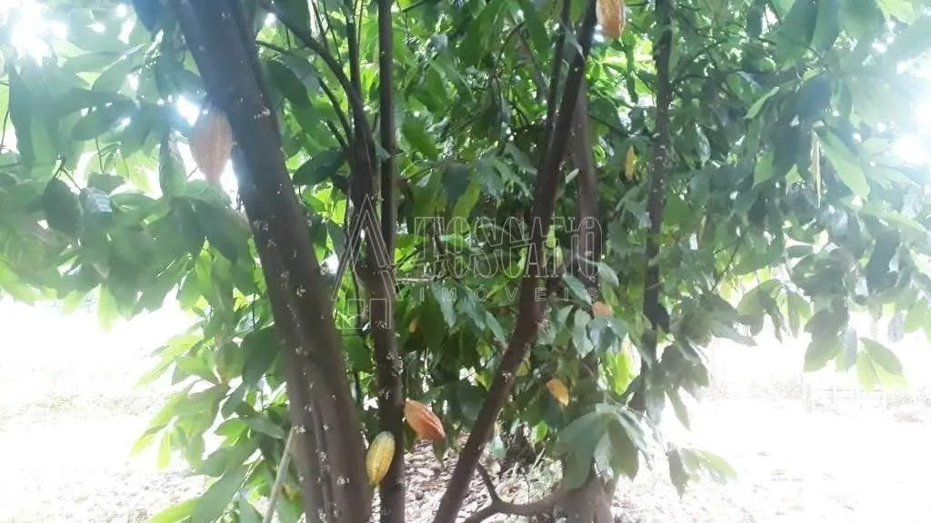 Country home for sale of 3,983 m² in Araraquara, SP, Brazil