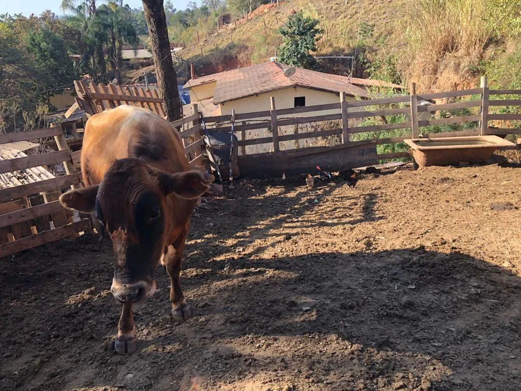 Small farm for sale of 8 acres in Pouso Alegre, MG, Brazil