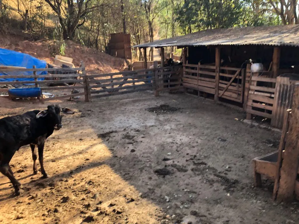 Small farm for sale of 8 acres in Pouso Alegre, MG, Brazil