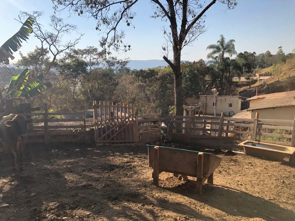 Small farm for sale of 8 acres in Pouso Alegre, MG, Brazil