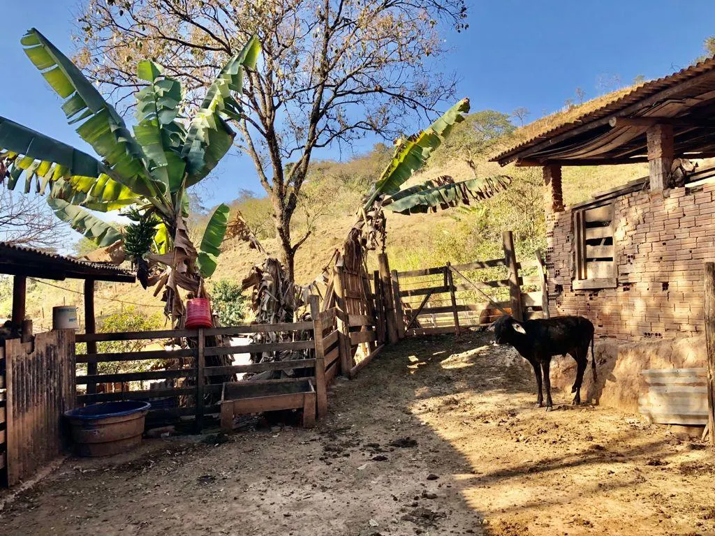 Small farm for sale of 8 acres in Pouso Alegre, MG, Brazil