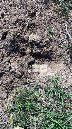 Farm for sale of 6,425 acres in Porto Alegre do Norte, MT, Brazil