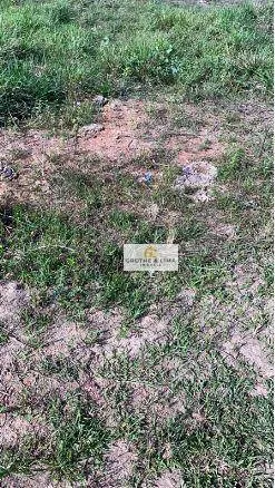 Farm for sale of 6,425 acres in Porto Alegre do Norte, MT, Brazil