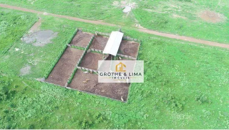 Farm for sale of 6,425 acres in Porto Alegre do Norte, MT, Brazil