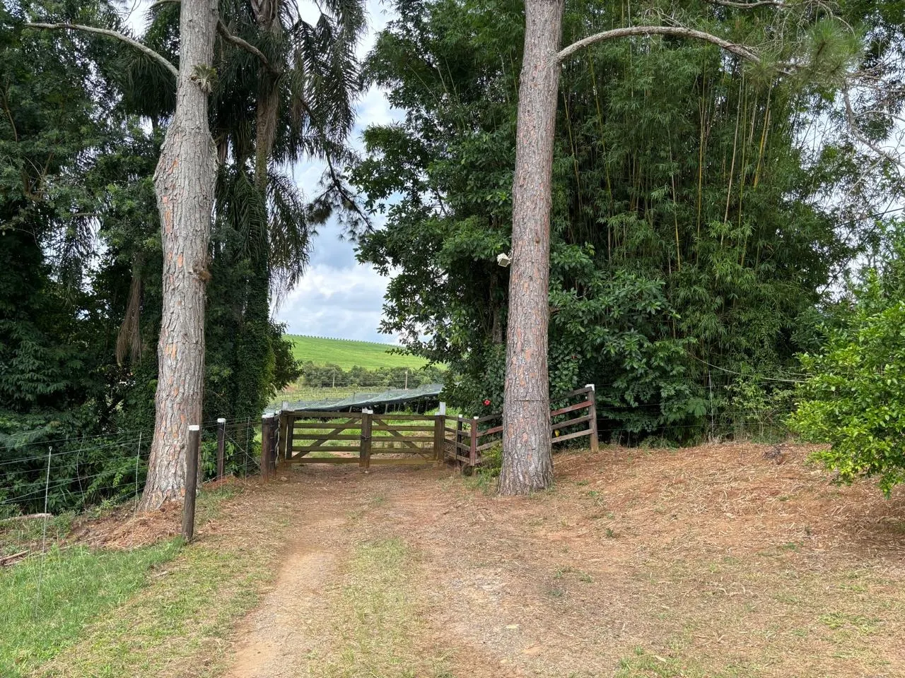 Fazenda à venda de 5 ha em São Miguel Arcanjo, SP, Brasil