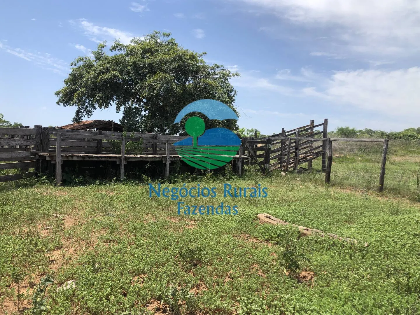 Fazenda à venda de 266 ha em Palmeirópolis, TO, Brasil