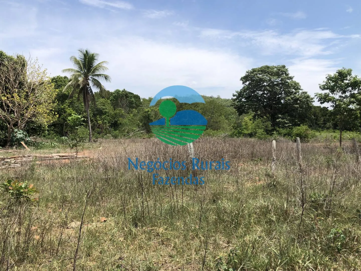 Fazenda à venda de 266 ha em Palmeirópolis, TO, Brasil
