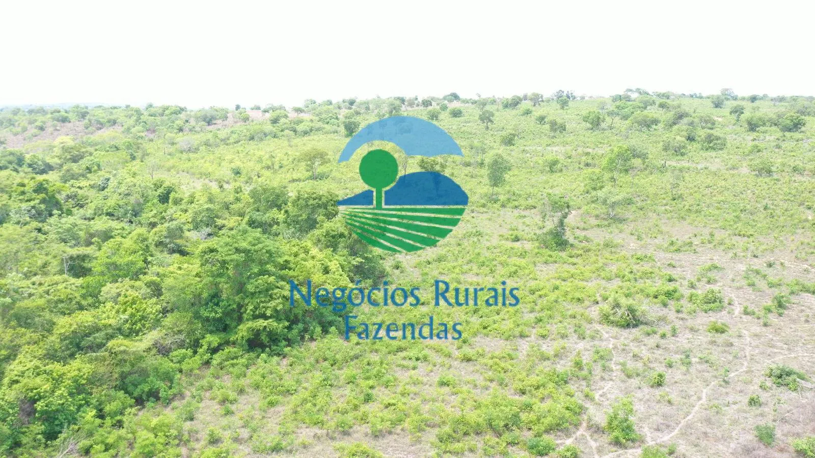 Fazenda à venda de 266 ha em Palmeirópolis, TO, Brasil