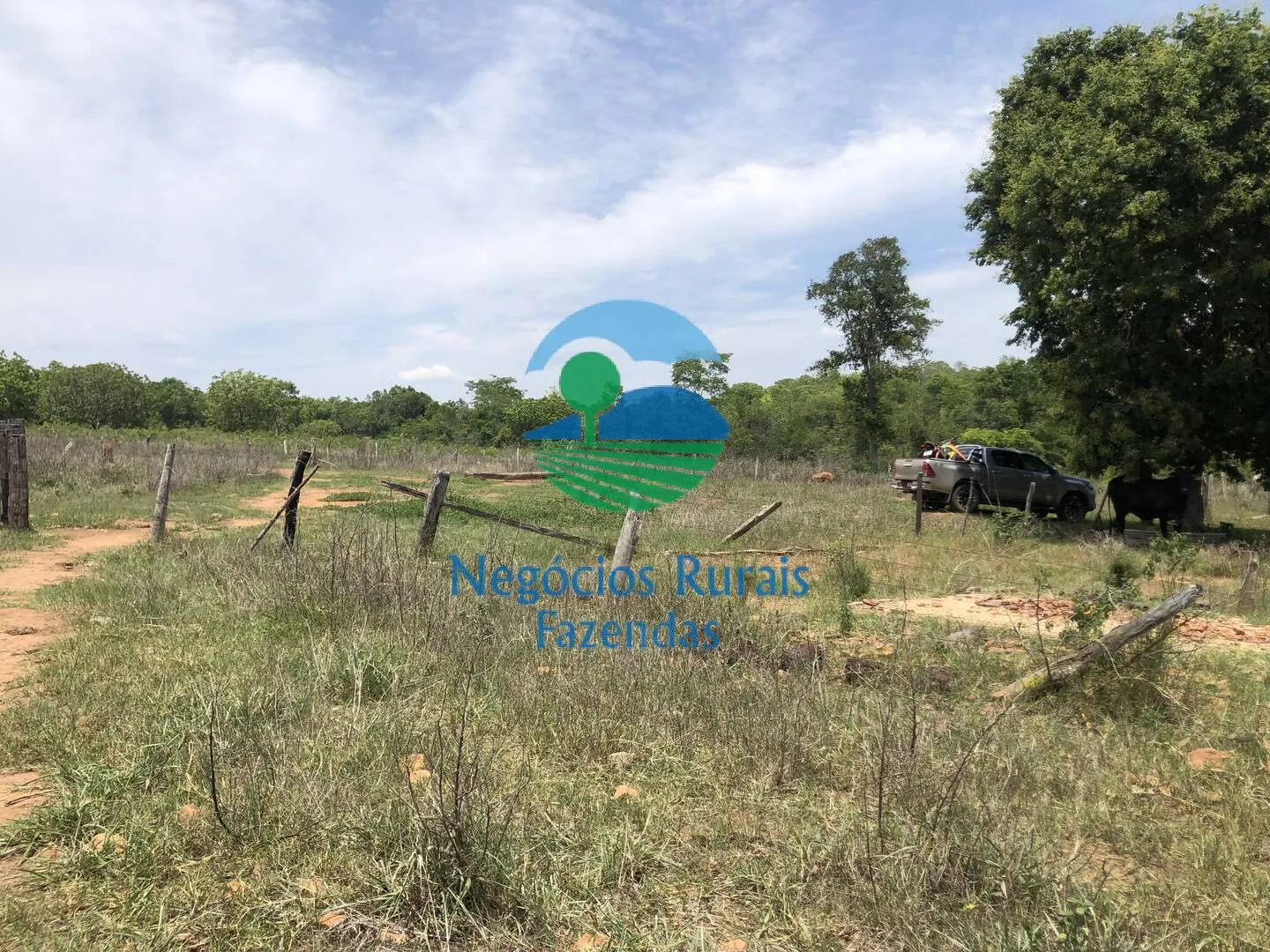 Fazenda à venda de 266 ha em Palmeirópolis, TO, Brasil